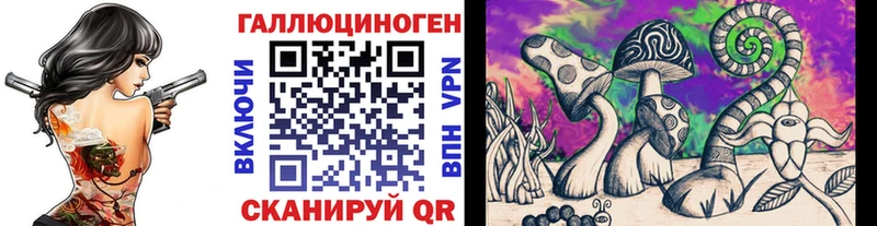 Псилоцибиновые грибы Cubensis Кизилюрт