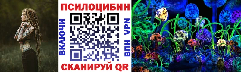 Псилоцибиновые грибы MAGIC MUSHROOMS  Кизилюрт 