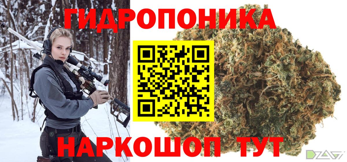 Шишки марихуана план Кизилюрт